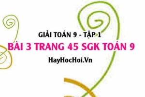 Giải bài 3 trang 45 SGK Toán 9 tập 1